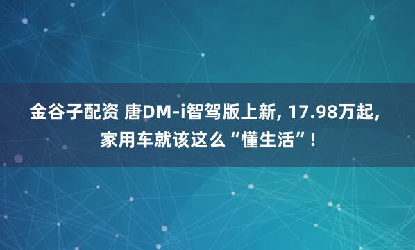 金谷子配资 唐DM-i智驾版上新, 17.98万起, 家用车就该这么“懂生活”!
