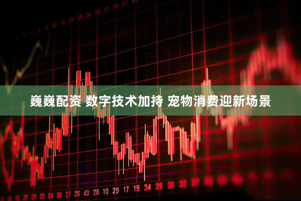 巍巍配资 数字技术加持 宠物消费迎新场景