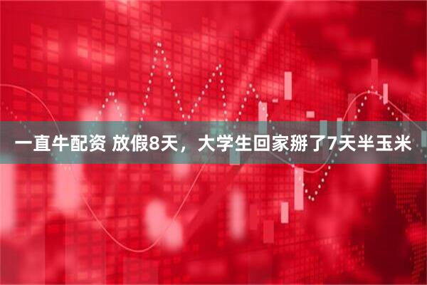 一直牛配资 放假8天，大学生回家掰了7天半玉米