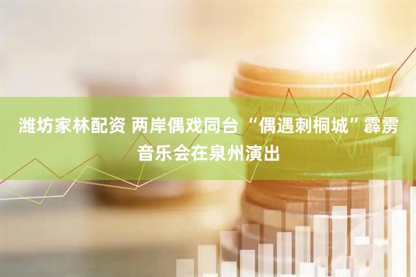潍坊家林配资 两岸偶戏同台 “偶遇刺桐城”霹雳音乐会在泉州演出